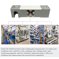 Celda de Carga de Alta Precisión YZC-664SD para Básculas de Banda de 60kg, 100kg, 200kg para Componentes Electrónicos, Estructura de Viga Paralela con Clasificación IP65