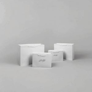 Bolsas de Regalo de Cartón Personalizadas para Boutique de Ropa, con Acabado Mate de Lujo y Logotipo Personalizado para Pequeñas Empresas - Product Image 1