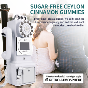 2025 शादी की आपूर्ति वीडियो अतिथि पुस्तक ऑडियो अतिथि 1080 वीडियो गुस्टक टेलीफोन बूथ रेट्रो टेलीफोन सजावट - Product Image 5