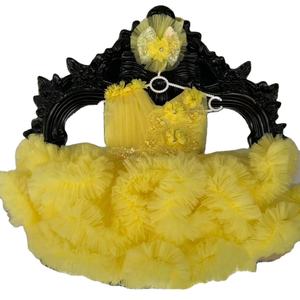 Çocuk doğum günü partisi balo tatlı Tutu etek aplike balo çiçek kız düğün için elbiseler - Product Image 5