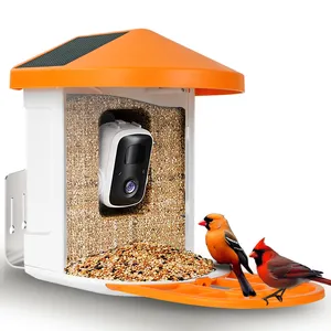 Hummingbird 1080p Hummingbird Ai Outdoor Motion Activted Video Smart Bird Buddy Feeder Camera With Solar Panel