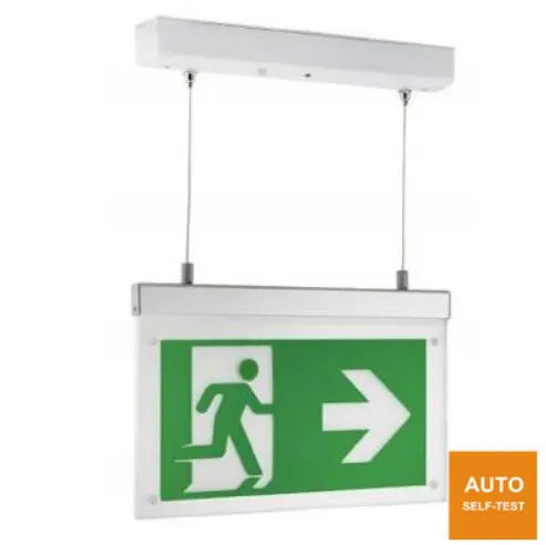 Wall Mounted/Ceiling Mounted LED Emergency Light with auto self-test function