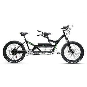 High Quality 500W Rear Hub Motor <b>Frame</b> Front Suspension Disc for Family Let's Enjoy Together Plus <b>Frame</b> 26"x4.0 Welded - Product Image 5