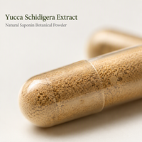 Capsules de Yucca Naturelles de Qualité Alimentaire au Meilleur Prix OEM – Extrait de Yucca en Capsules
