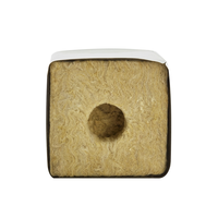 Cubes de culture GN Hydroponics Laine de roche Petit 25*25*40mm pour la croissance des semis et des légumes