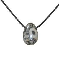 Guangdong usine larme pierre naturelle marron Turritella Agate Crinoïde 30mm pendentif à breloque pour hommes pour la fabrication de colliers