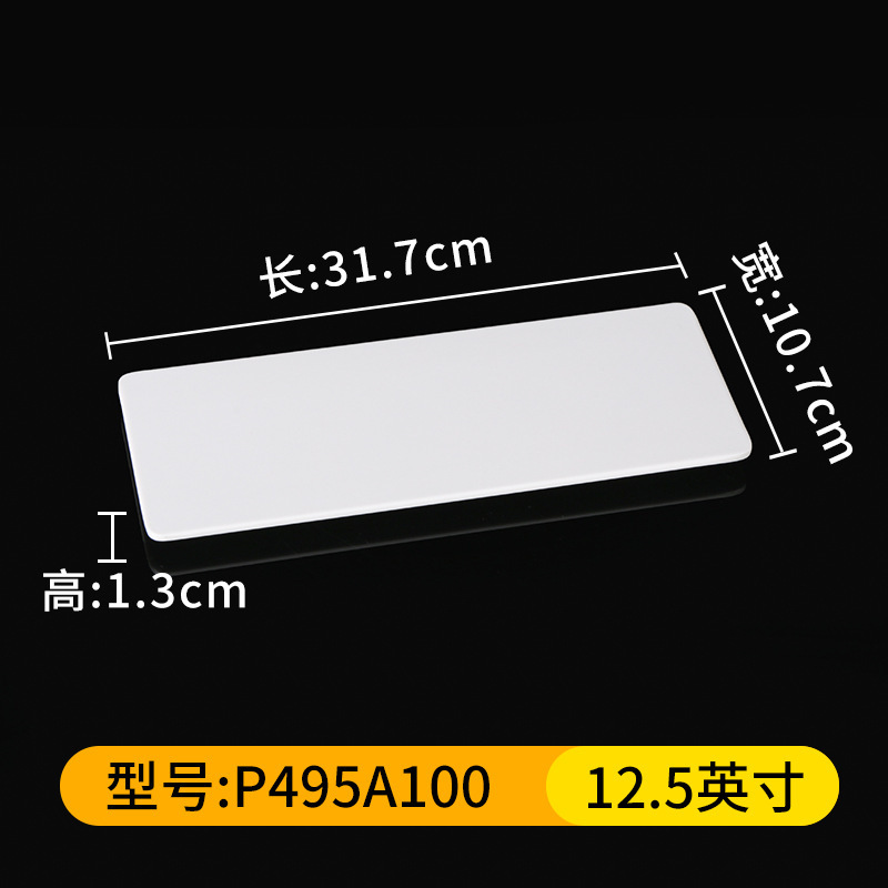 P495A100