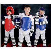 Protège-poitrine de Taekwondo Hogu, équipement de protection corporelle pour arts martiaux, équipement de combat personnalisé