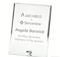 Plaque de récompense personnalisée en acrylique transparent, trophée personnalisé pour la reconnaissance des employés