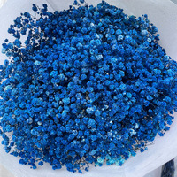 Fleur de Gypsophile Stabilisée 120 g, Vente en Gros Usine, Fleurs Séchées Naturelles, Bouquet Souffle de Bébé, Fleur de Gypsophile Florale pour Mariage