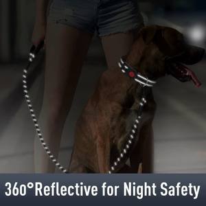 Collier pour chien 2025, nouveau modèle, fabrication en usine, réglable, porte-étiquette Air Tag, porte-GPS pour chien, collier anti-perte, traceur - Product Image 4