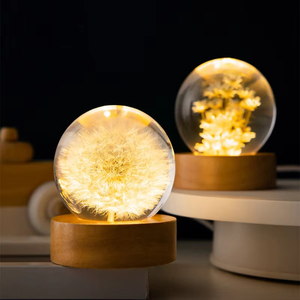 Lampe de table en bois moderne avec boule de cristal et fleur de pissenlit, alimentée par batterie, LED, commande tactile, décoration d'intérieur, veilleuse - Product Image 1