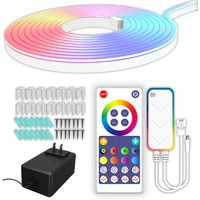 Bande lumineuse au néon rgbic bricolage de haute qualité 12v 24v avec musique Sync Tuya Smart APP pour la décoration de la chambre à coucher maison intelligente