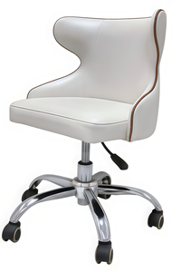 Chaises de barbier en acier inoxydable de luxe léger, durables, réglables en hauteur, pour la maison, l'hôtel, le bureau, le salon commercial - Product Image 2