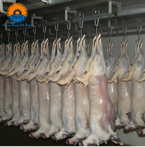 Línea de Sacrificio Automática <span class=keywords><strong>Halal</strong></span> para Ovejas y Cabras, Maquinaria de Matadero de Corderos de Acero Inoxidable, Cumple con los Estándares Globales de Sacrificio Islámico - Product Image 6