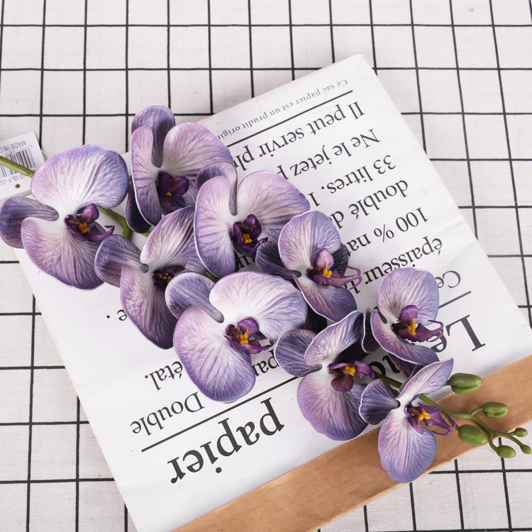Classic Purple