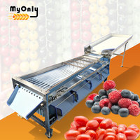 Mijn zoete aardappel sorteermachine, mini blauwe bessen sorteermachine, fruit, citrus, appel sorteermachine