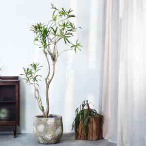 Pot de fleurs sur pied de style nordique avec motif lune créatif, grand diamètre, pour plantes vertes, design vintage - Product Image 5