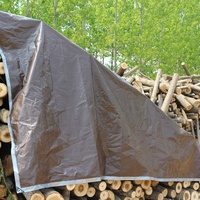 Couverture de bâche en poly polyvalente imperméable robuste de 40x60 pieds 10mil avec œillets en métal et bords renforcés bâche argentée/marron