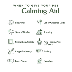 Original Equipment Fabrikant Honden Biologisch Kalmerend Supplement Gaba Organische Gember L-Theanine Voor Immuunondersteuning Stress Verlichting - Product Image 4