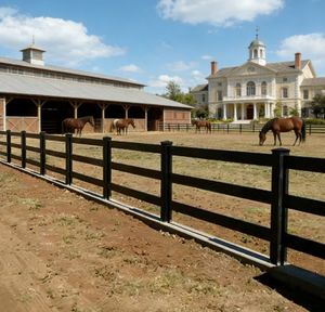 Valla para Caballos de 4.5 Pies de Altura, Blanca, de 3 Rieles, Ecológica y Fácil de Montar, de Plástico PVC Vinilo con Modelado 3D para Rancho o Corral - Product Image 4