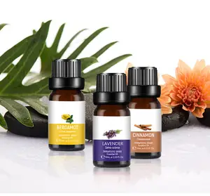 Olio di aromaterapia dei profumi del diffusore dell'aroma della natura dell'olio essenziale di fragranza organica pura su misura all'ingrosso
