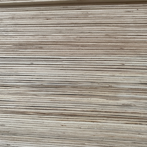 AB BC Grade Vietnam Style Design Industriel Contreplaqués 12mm/15mm/19mm pour Meubles Armoires de Cuisine Autres Applications 1 An - Product Image 1