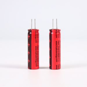 1345 конденсаторная батарея LiFePO4 с одинаковыми проводами для промышленных датчиков и устройств IoT - Product Image 2