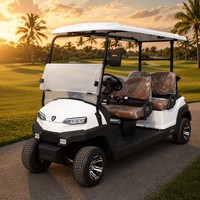 Carrito de Golf Eléctrico Tarion de 4 Plazas, Motor de CA de 4.0kW, Autonomía de 80-100 km, Suspensión MacPherson, Freno de Doble Circuito, OEM ODM, 35 km/h
