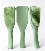 Brosse à cheveux massante en nylon PVC avec logo personnalisé, séchage rapide, usage professionnel en salon, avec coussin intégré