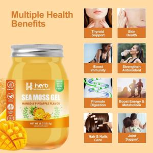 OEM ODM Marque privée Complexe de soutien immunitaire digestif à l'arôme biologique Vitamines Minéraux Suppléments antioxydants Mousse de mer Adulte - Product Image 4