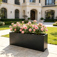 Pots de jardin en métal, jardinières, vente en gros, durables, grands, rectangulaires, en acier galvanisé, pour hôtels, jardins extérieurs - Personnalisables