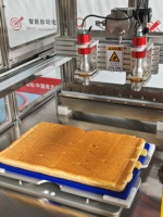 Machine de découpe de gâteaux ultrasonique pour portions de gâteau triangulaires isocèles, coupe de précision, trancheuse de gâteau mousse triangulaire isocèle