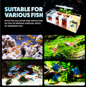 Akuarium Betta Multi-layer Akrilik, Kotak Pembibitan, Tanpa Filter, Dapat Ditumpuk, Ukuran Kecil, Promo - Product Image 4