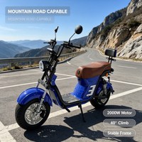 Trottinette électrique 2000W, batterie LFP 60V 20.8Ah, grandes roues, pneus larges, avec BMS intelligent et frein hydraulique pour l'UE et les États-Unis