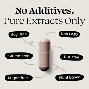 แคปซูลเห็ดหลินจือเสริมภูมิคุ้มกัน - Product Image 5