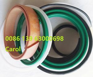 Putzmeisterコンクリートポンプアクセサリー-上部ハウジングシールキットSチューブ側使用 - Product Image 6