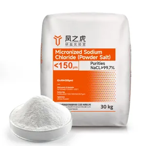 Food Processing Salt Tiny Particle Wholesale 1 Container 150um NACL Salt Powder Food Additives