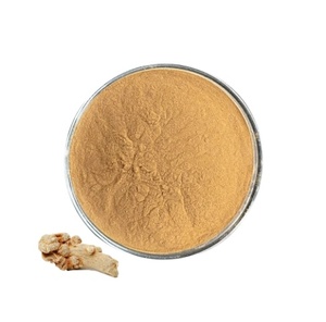Extrait de Tian Qi de haute qualité, herbe traditionnelle chinoise, <span class=keywords><strong>poudre</strong></span> d'extrait de racine de Sanqi, <span class=keywords><strong>poudre</strong></span> <span class=keywords><strong>hémostatique</strong></span> de Sanqi - Product Image 4