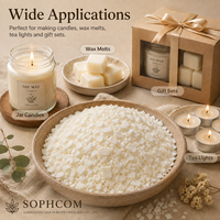 Flocons de cire de soja végétale pour le remplissage de contenants, approvisionnement en gros pour les studios de production de bougies parfumées artisanales