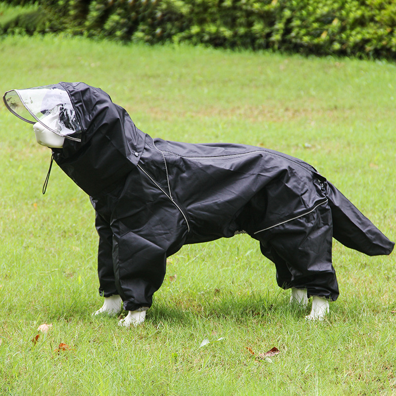 Negro-perro macho