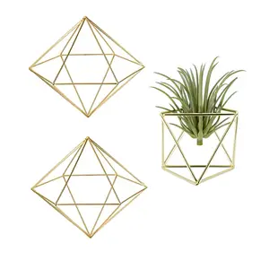 Geometria appesa in ferro vaso di fiori in metallo basamento all'ingrosso irregolare terrario per piante succulente da tavolo fioriera