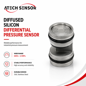 Sensor diferencial piezoresistivo de silicio difundido con núcleo lleno de aceite para gas y otros gases - Product Image 3