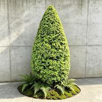 Arbre artificiel en buis, feuillage vert dense, plante ornementale pour la décoration de villas, cours, hôtels et paysages extérieurs