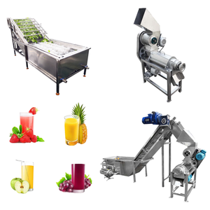 Linea di Produzione Professionale per Succhi di Frutta Fresca: Macchina per Succhi di Soursop, Papaya e Guava - Product Image 1