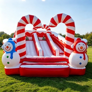 Château gonflable commercial avec toboggan, personnalisé pour les fêtes, anniversaires, Noël, et autres événements. - Product Image 3