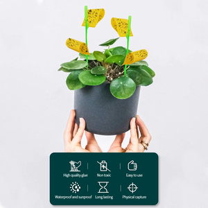 Pièges collants jaunes pour moucherons, pour plantes d'intérieur et d'extérieur - Product Image 2