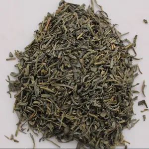 美茶制造供应41022 AAAAA春梅绿茶出口非洲