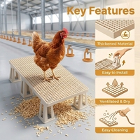 Nouveau plancher à lattes en PP robuste pour poulets, pieds surélevés, sans joint, monobloc, blanc, pour poules pondeuses/à viande, 100x50x19.5cm