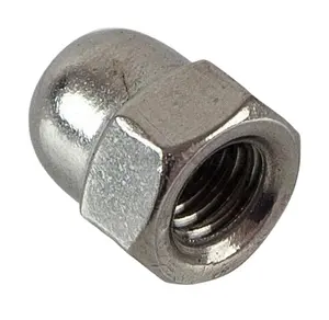 DIN1587 One-piece Hex Domed Nut Hexagon Dome Ca.p Nut